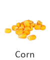 Picture of corn