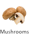 Picture of mushroom