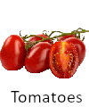 Picture of tomato