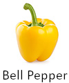 Picture of bell pepper